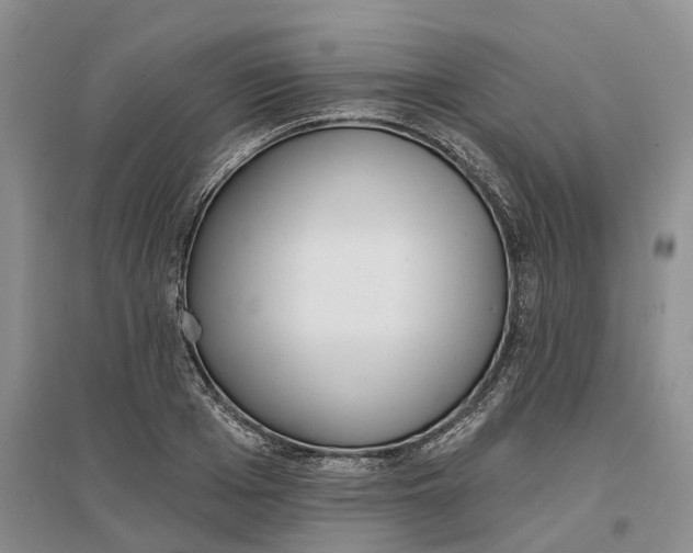 X0000096710985200802261625