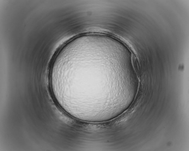 X0000096710987200802261625