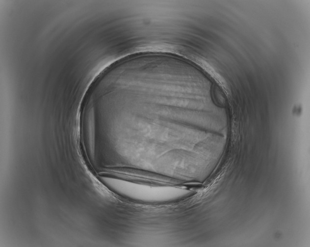 X0000096710988200802261625