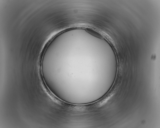 X0000096710989200802261625