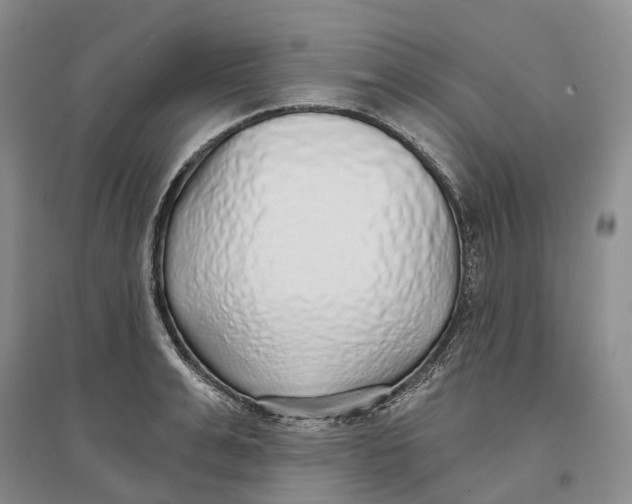 X0000096710991200802261625