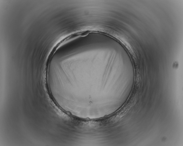 X0000096710992200802261625