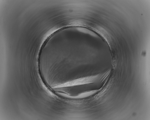 X0000096710995200802261625