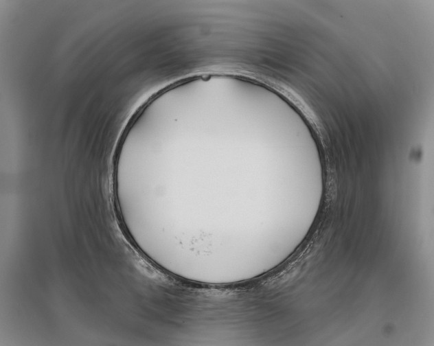 X0000096710996200802261624