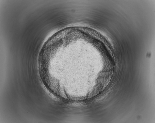 X0000096710998200802261624