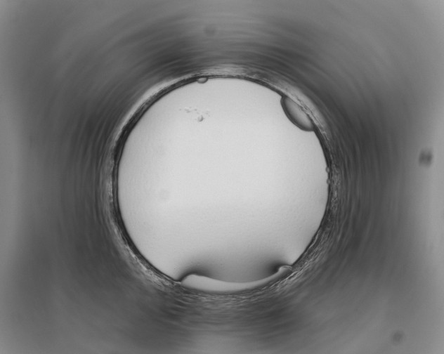 X0000096711000200802261624