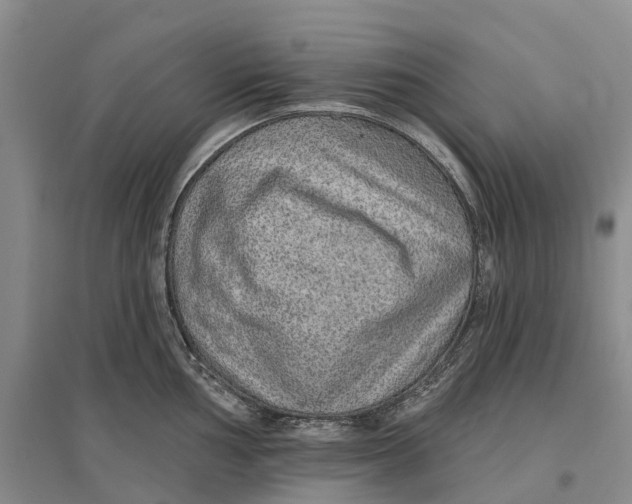 X0000096711002200802261624