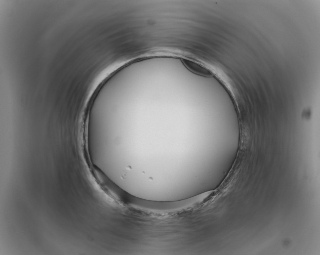 X0000096711003200802261624