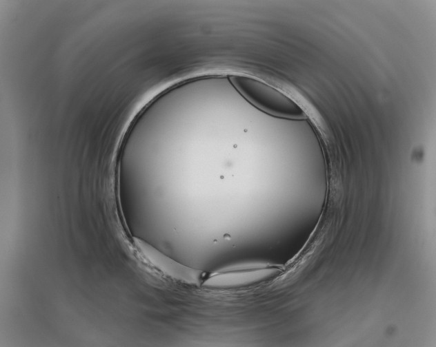 X0000096711004200802261624