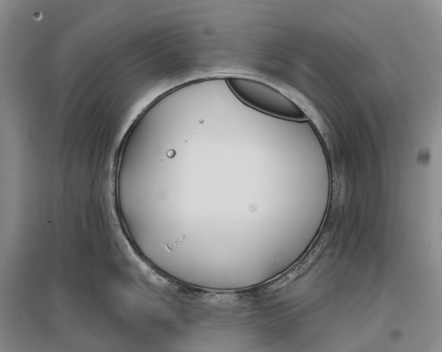 X0000096711006200802261624