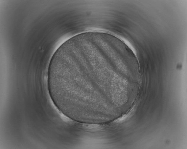 X0000096711007200802261624