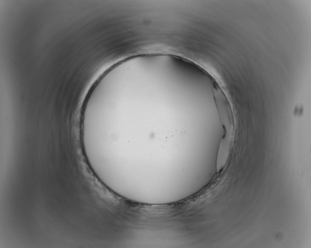 X0000096711008200802261624