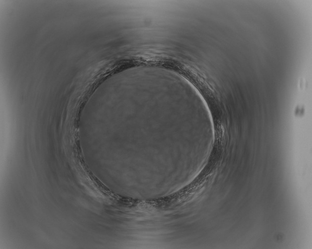 X0000096711009200802261624