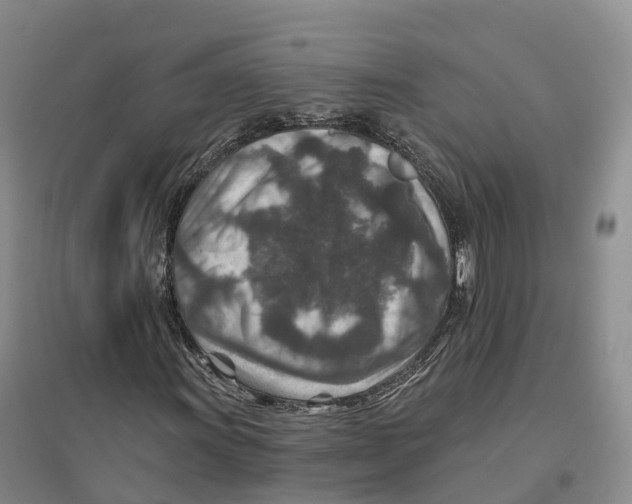 X0000096711011200802261624