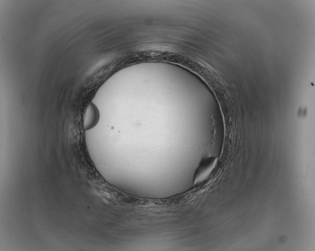 X0000096711014200802261624