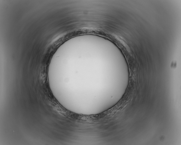 X0000096711015200802261624