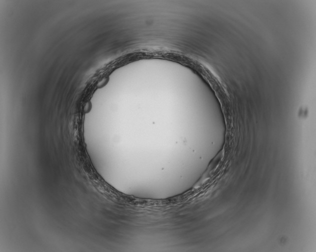 X0000096711016200802261624