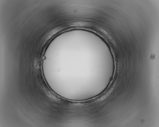 X0000096711017200802261624