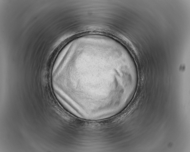 X0000096711019200802261624