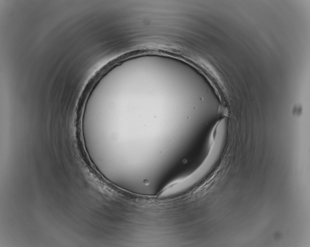 X0000096711020200802261624