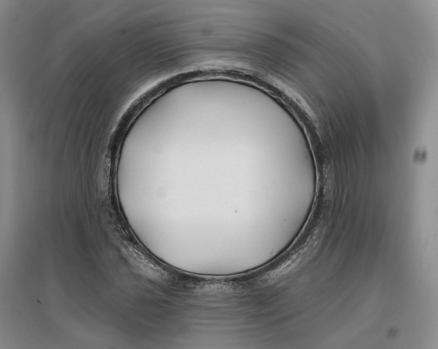 X0000096711021200802261624