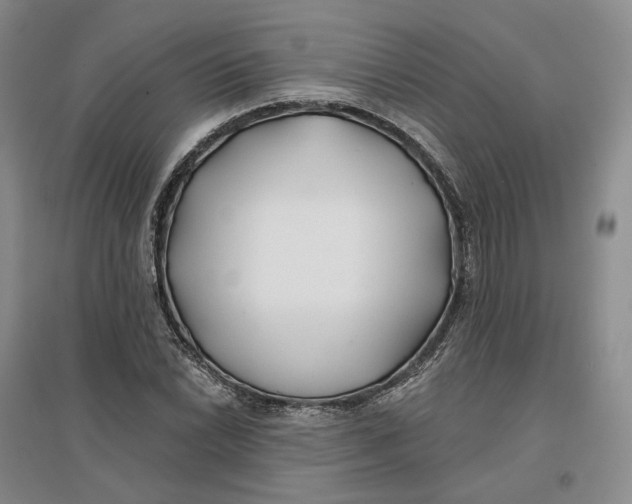 X0000096711022200802261624