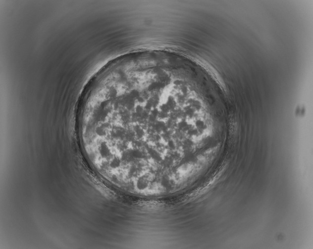 X0000096711023200802261624