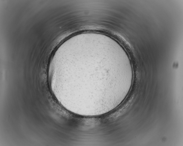 X0000096711025200802261624