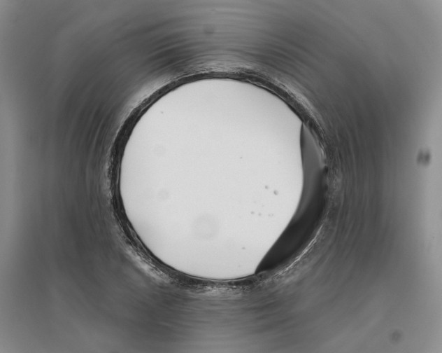 X0000096711026200802261624