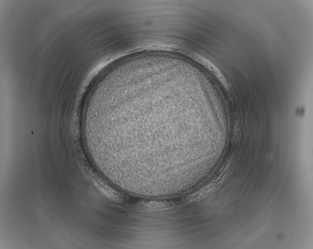 X0000096711027200802261624