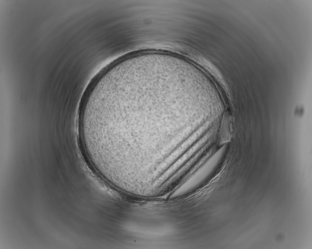 X0000096711028200802261624