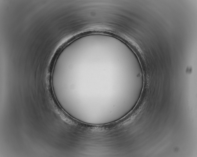 X0000096711029200802261624