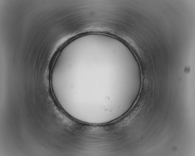 X0000096711030200802261624