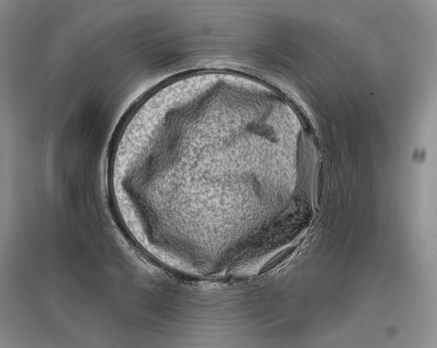 X0000096711032200802261624