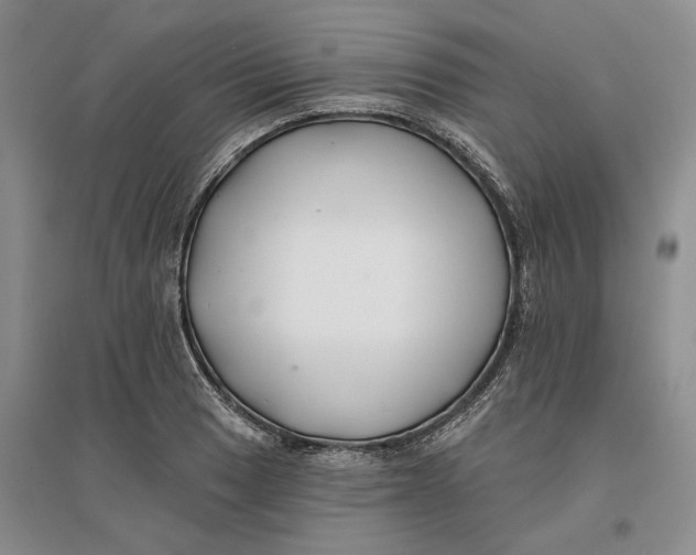 X0000096711033200802261624