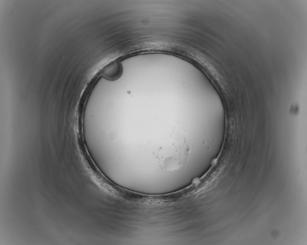 X0000096711034200802261624