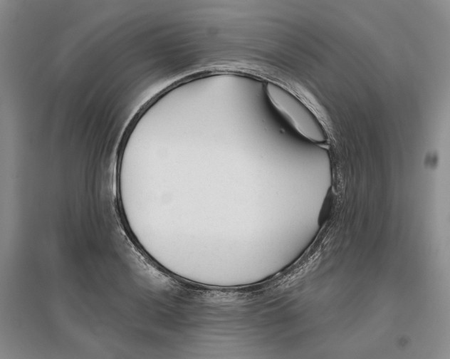 X0000096711036200802261624