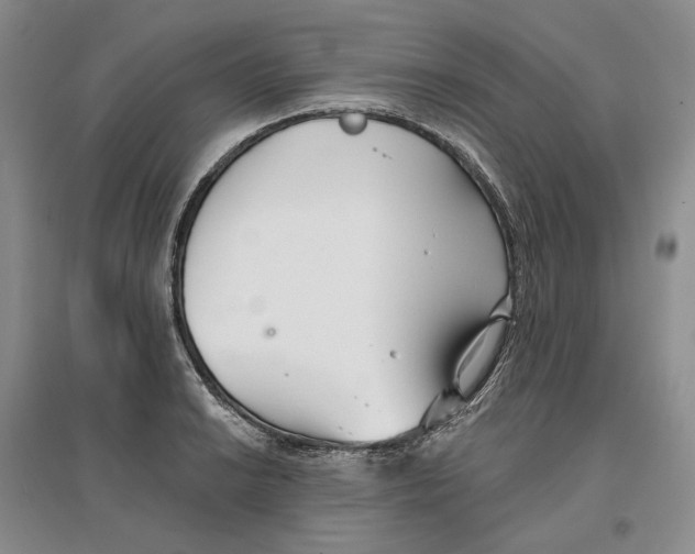 X0000096711038200802261624