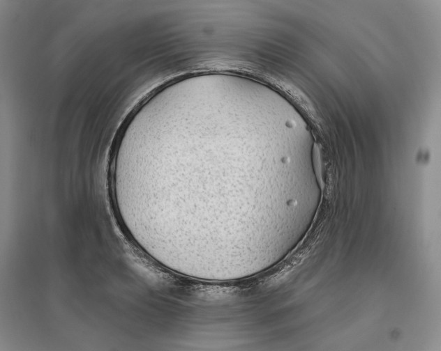 X0000096711039200802261624