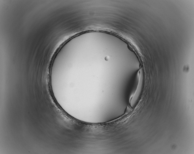 X0000096711040200802261624