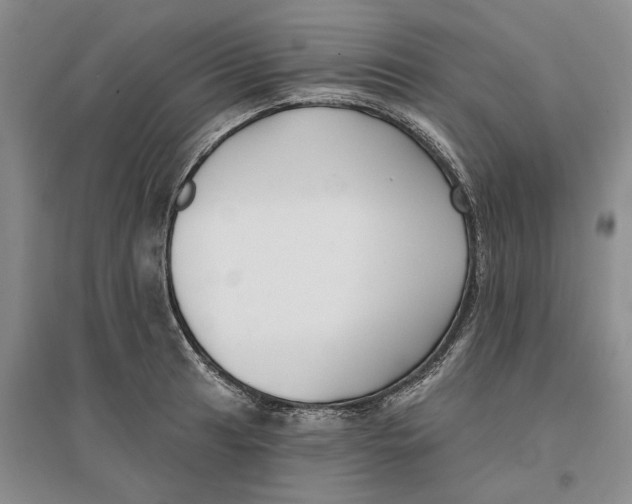 X0000096711041200802261624