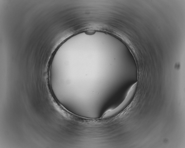 X0000096711042200802261624