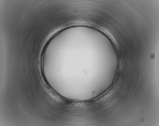 X0000096711043200802261624