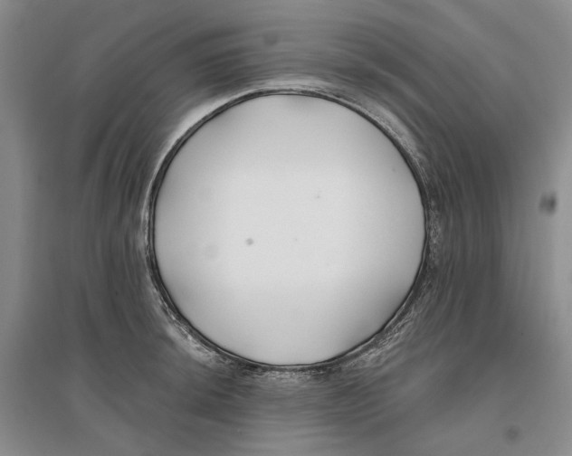 X0000096711044200802261624