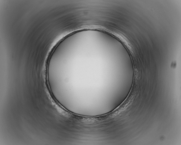 X0000096711046200802261624