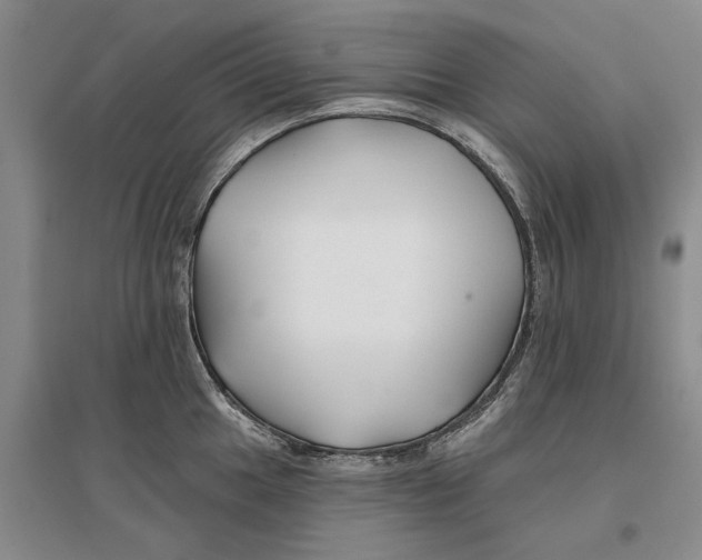 X0000096711049200802261624