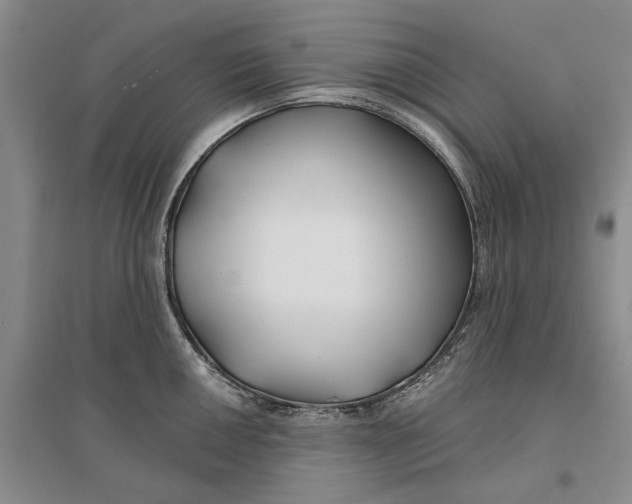 X0000096711050200802261624