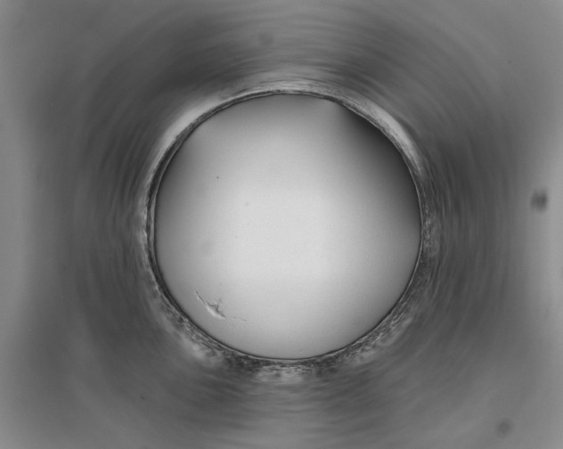 X0000096711051200802261624