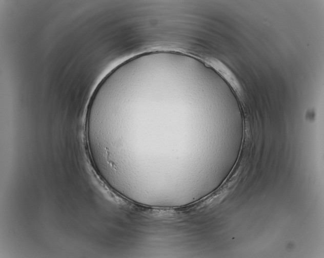 X0000096711052200802261624