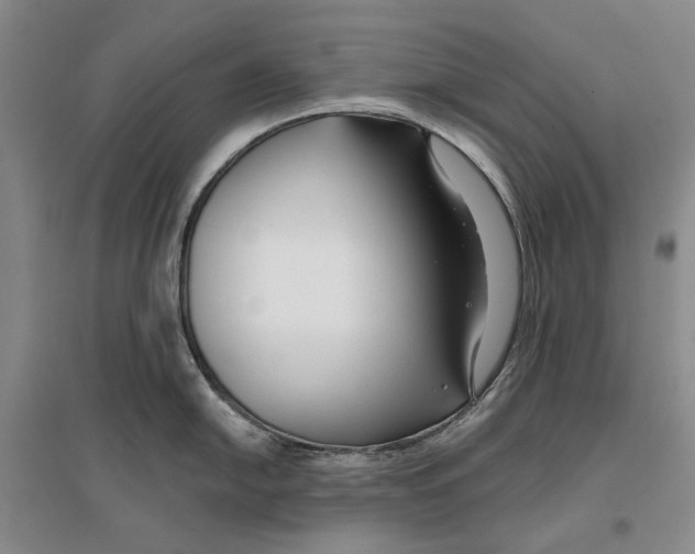 X0000096711054200802261624